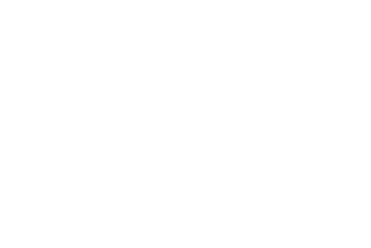 Brookfield Residential logo