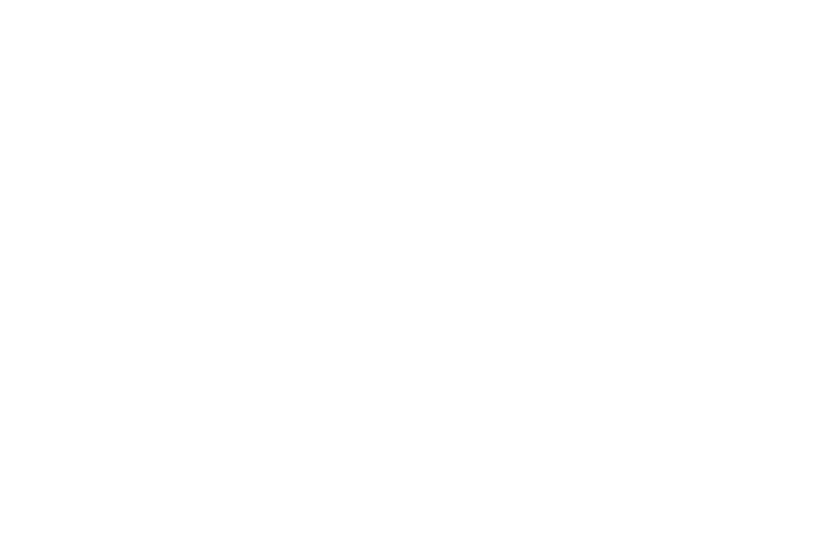 Homes by Avi logo